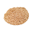 Nasiona quinoa